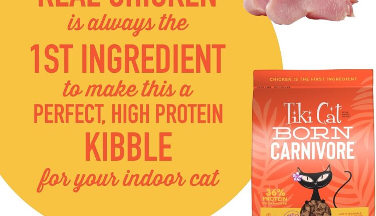 5-product-review-comparison-cat-food-treats-supplements