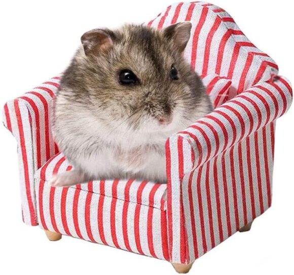 ARBOZEW Hamster Mini Sofa, Mice Soft Bed, Classic Red and White Fabric Tiny Pet Chair, Small Animals Cage Decorations. (White-red)