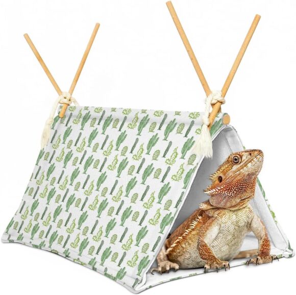 Bearded Dragon Tent Bed,Cactus Pattern Reptile Bearded Dragon cage/hides and Caves/Habitat Hideout… (Cactus)