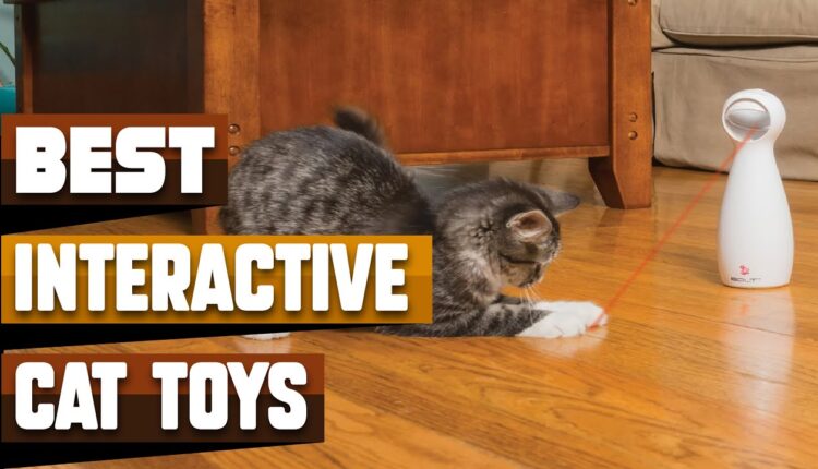 Video Thumbnail: Best Interactive Cat Toy In 2023 – Top 10 Interactive Cat Toys Review