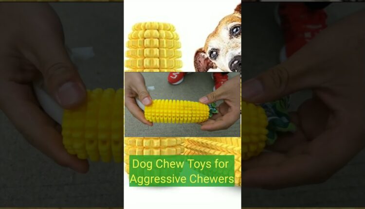 Video Thumbnail: Dog Chew Toys for Aggressive Chewers, Indestructible Tough Durable Squeaky Interactive Dog Toys,