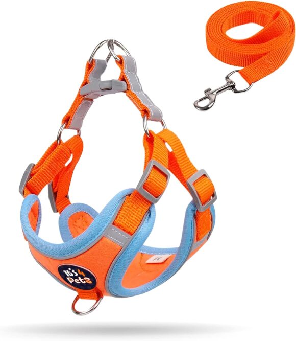 It’s 4 Pets, Dog Harness and Leash Set, is a Dog Harness Set That Makes Your Dog Feel Comfortable in his Day to Day Outside Adventures with You. (Medium)