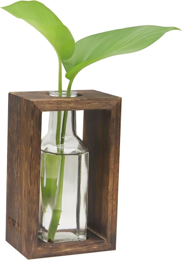 OFFIDIX Plant Terrarium with Wooden Stand,Plant Wooden Station with Glass Vase for Hydroponic Plant,Desktop Wooden Holder for Indoor Plants Home Garden Office Decoration Plants
