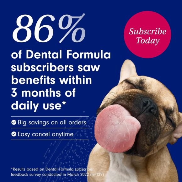 Petlab Co. Dog Dental Formula - Keep Dog Breath Fresh and Teeth Clean - Supports Gum Health - Dog Water Additive Dental Care Targets Tartar - Packaging May Vary