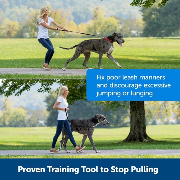 PetSafe Gentle Leader No-Pull Dog Headcollar - The Ultimate Solution to Pulling - Redirects Your Dogs Pulling for Easier Walks - Helps You Regain Control - Large, Charcoal