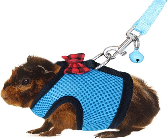 Rypet Guinea Pig Harness and Leash - Soft Mesh Small Animal Harness with Safe Bell, No Pull Comfort Padded Vest for Guinea Pigs, Ferret, Chinchilla and Similar Small Animals