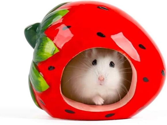 Small Animal Hideout Ceramic Hamster House Chinchilla Mini Hut Cave Cage Accessories for Dwarf Hamsters Gerbils and Hedgehog(Strawberry)