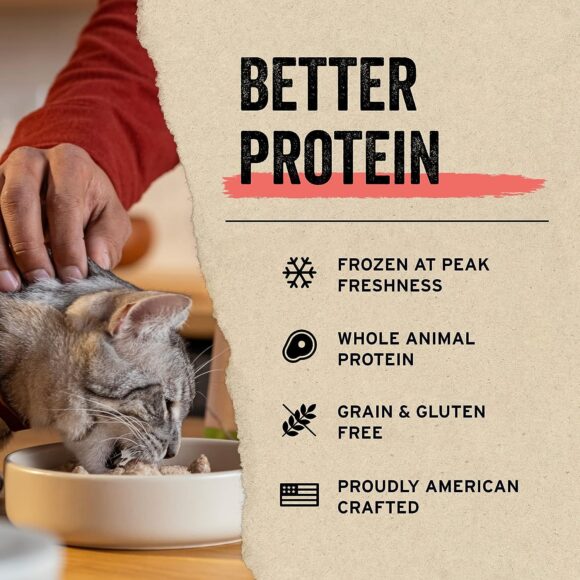 Vital Essentials Freeze-Dried Raw Cat Treats, Minnows Treats, 0.5 oz