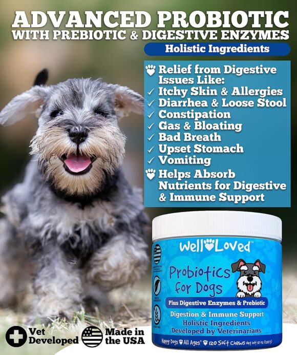 Well Loved Probiotics for Dogs, Dog Probiotics and Digestive Enzymes, Made in USA, Vet Developed, Dog Probiotic Chews with Prebiotics, Diarrhea Treatment, for Itchy Skin, Gut Health  Gas Relief