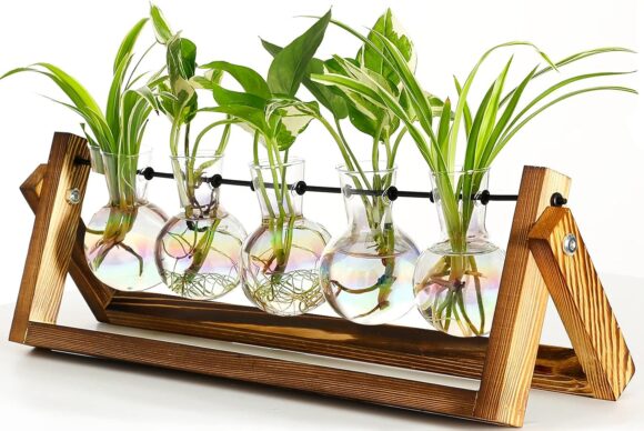 XXXFLOWER Plant Terrarium with Wooden Stand, Wall Hanging Glass Planter Tabletop Propagation Station Metal Swivel Holder Retro Rack for Hydroponics Home Garden Office Decoration - 5 Bulb Vase