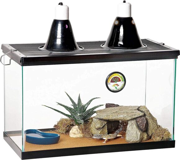 Zilla 10 Gallon Pet Reptile Starter Habitat Kit with Light and Heat for Small Desert Dwelling Animals